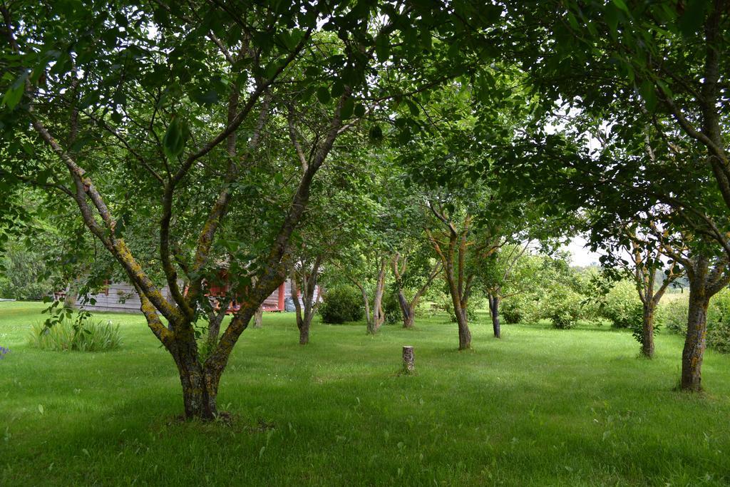 Toomalouka Tourist Farm Hotel Ngoại thất bức ảnh